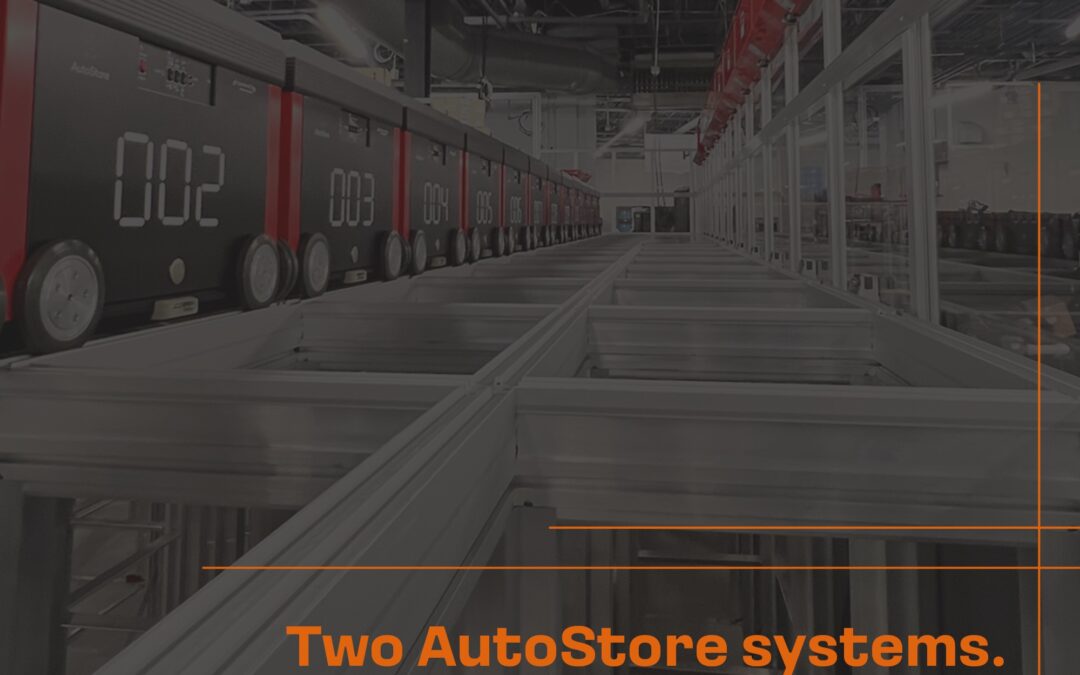 Precision in Motion: Swisslog’s Dual-Zone AutoStore Fulfillment Center